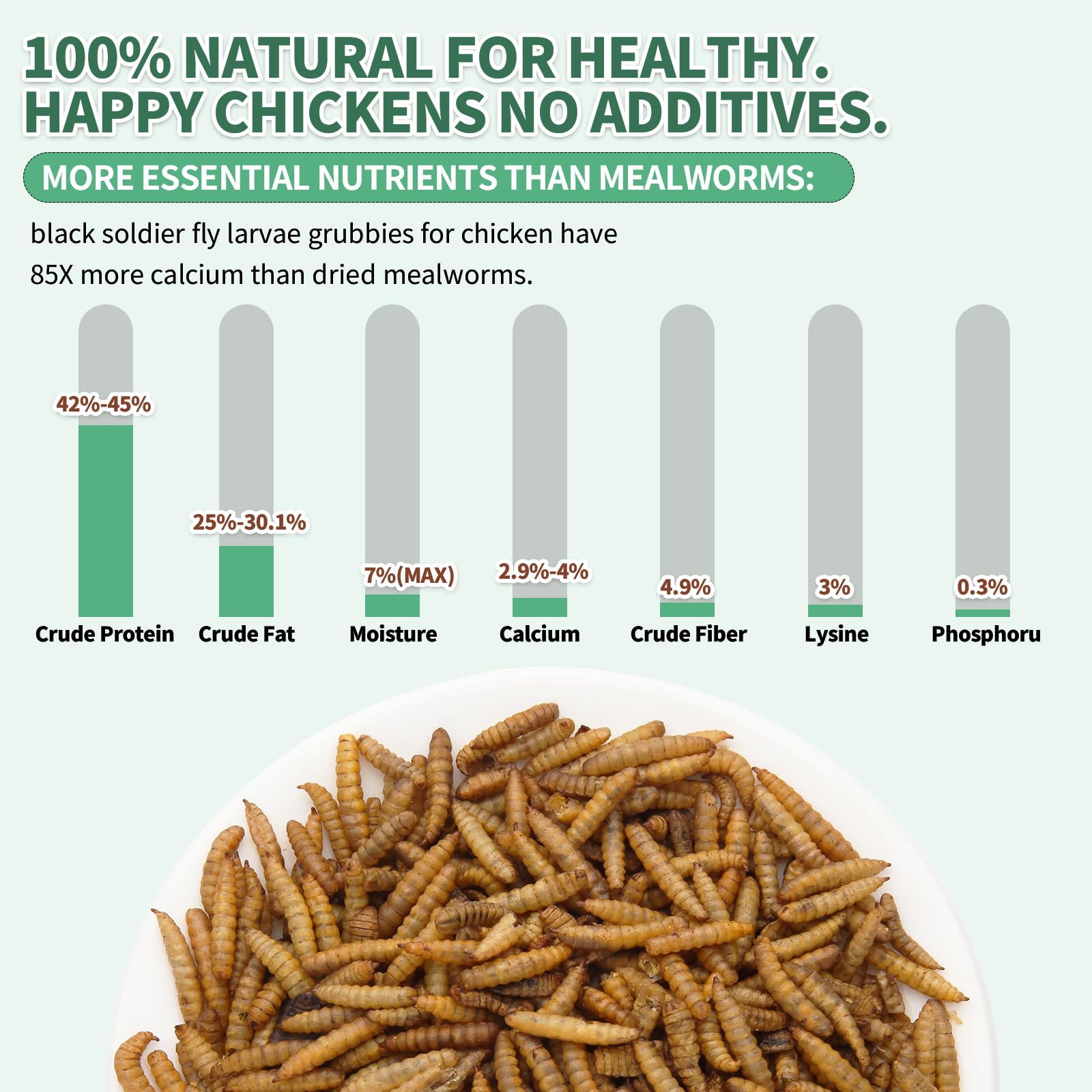 FCI Grubs dried BSFL texture close-up highlighting crispy, digestible protein source
