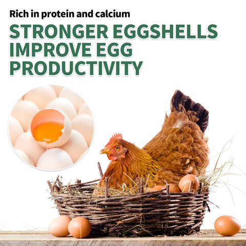 FCI Grubs resealable bag storage scene conveys convenience and freshness