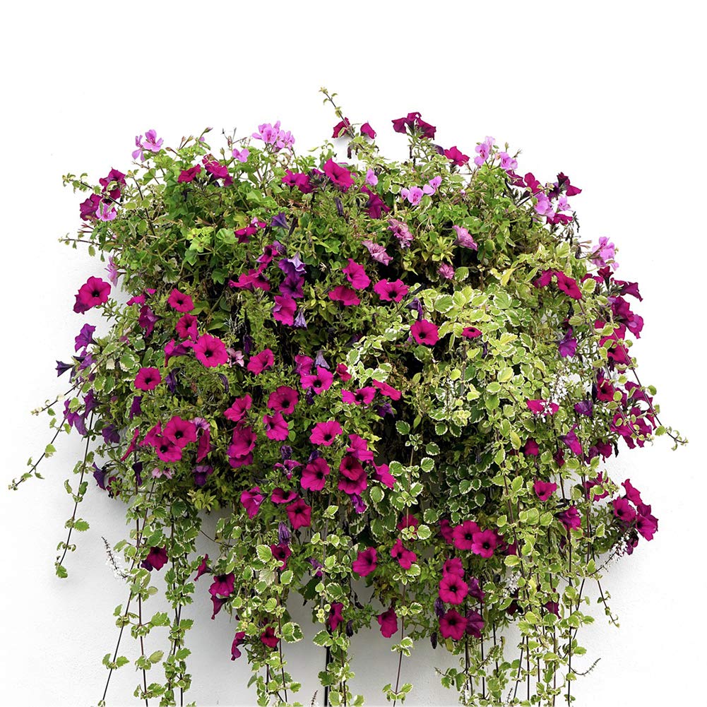 FDGARDEN air-permeable coir liner promotes better root aeration