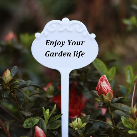 FDGARDEN aquaponics friendly pot supports soil friendly growth without disturbing roots