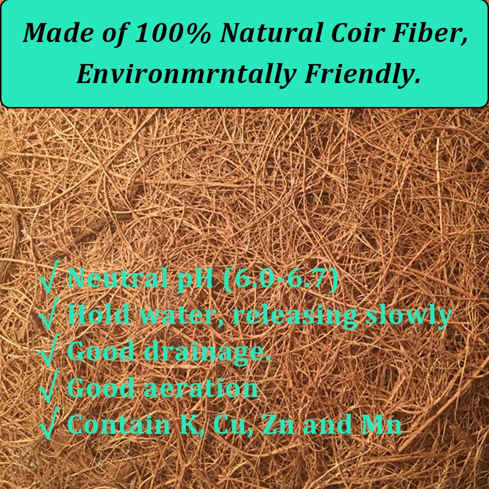 FDGARDEN coconut liner demonstrates water retention and drainage in a hanging basket