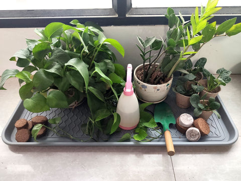FDGARDEN eco friendly seed starting kit reduces waste and supports sustainability