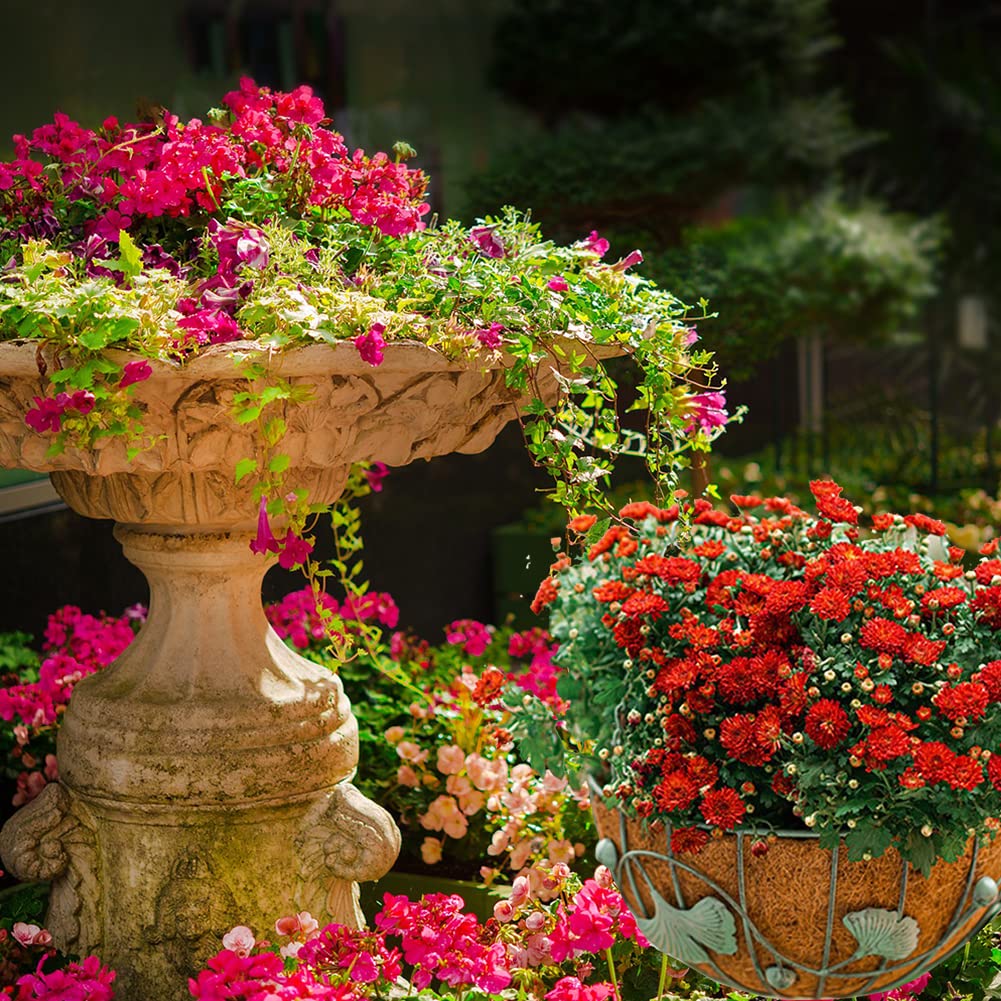 FDGARDEN versatile coir liner used in various baskets and planters