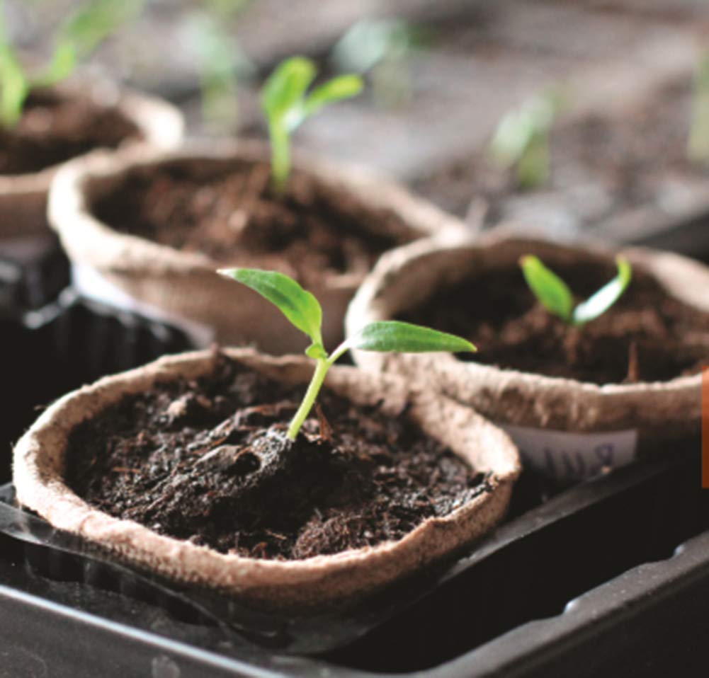 FDGARDEN nursery pots 3-inch biodegradable design protects roots during transplanting
