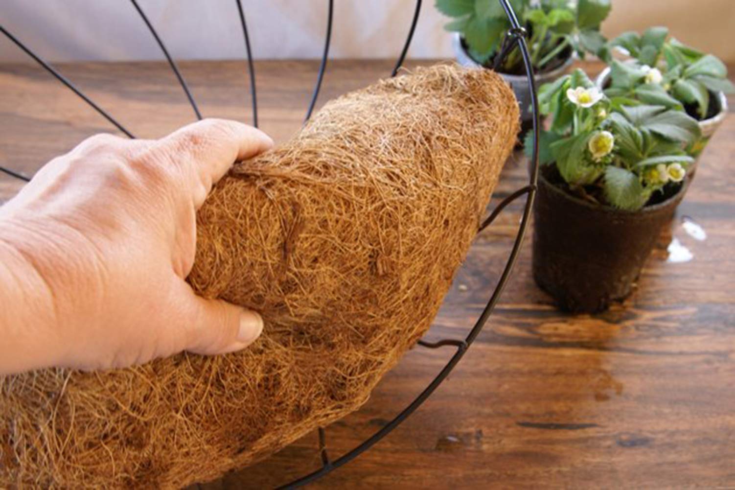 FDGARDEN nutrient-rich coir liner boosts plant growth potential