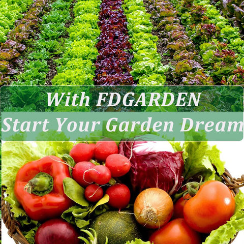 FDGARDEN root friendly seed pot lets roots grow directly into soil