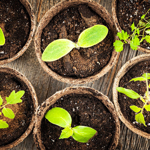 FDGARDEN seedling pots kit with 100-pack keeps planting organized with eco friendly materials