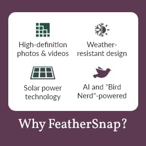 FeatherSnap AI Species ID Premium builds a personal Bird Book.