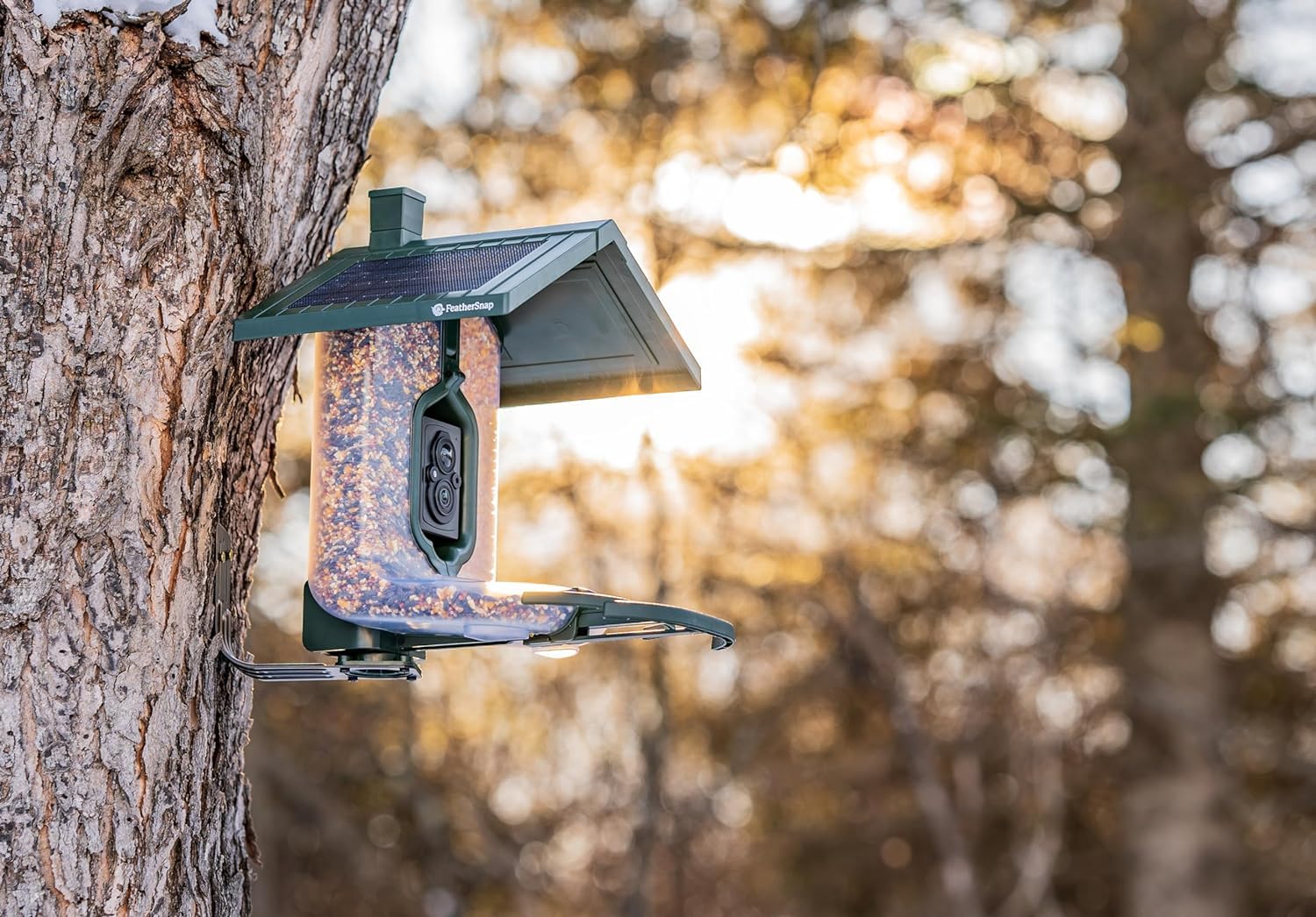 FeatherSnap dual-bin bird chambers attract diverse species with two seed reservoirs.