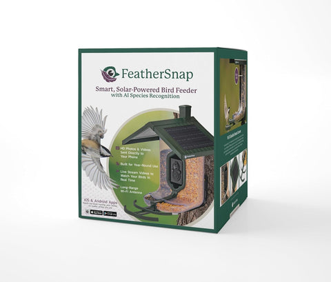 FeatherSnap Scout feeder solar panel powers the unit for continuous backyard viewing.