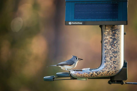 FeatherSnap universal mounting bracket fits poles, fences, or trees.