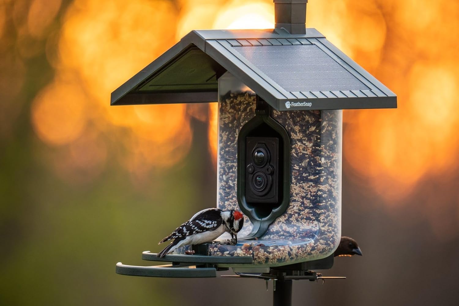 FeatherSnap US-based support provides nearby assistance when needed.