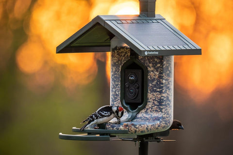 FeatherSnap US-based support provides nearby assistance when needed.