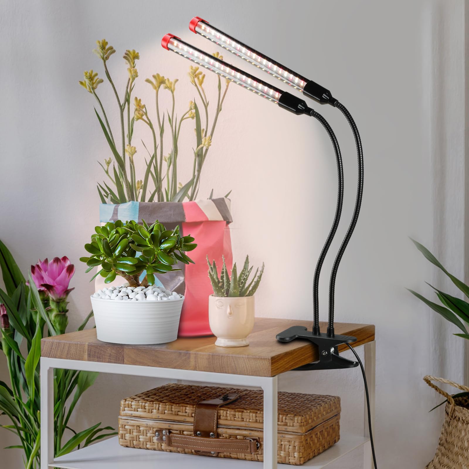 FECiDA 2026 two-head grow light illuminating small indoor plants on a desk.