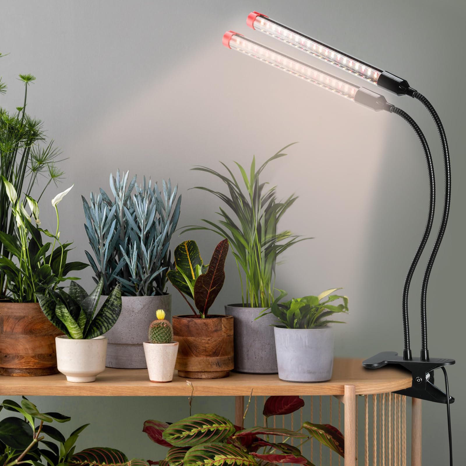 FECiDA 2026 plug-in design with no adapter required for quick setup.
