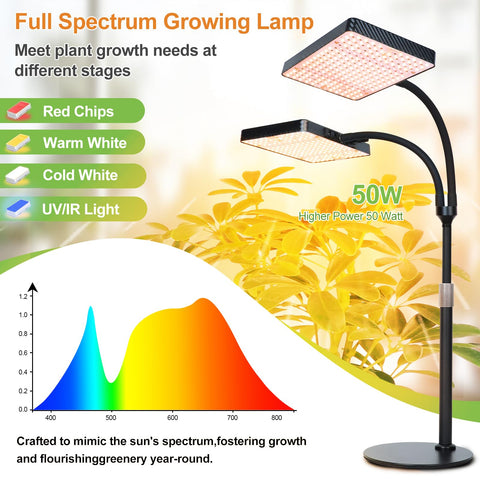 FECiDA 2026 side-angle setup enables compact placement near bonsai and herbs.
