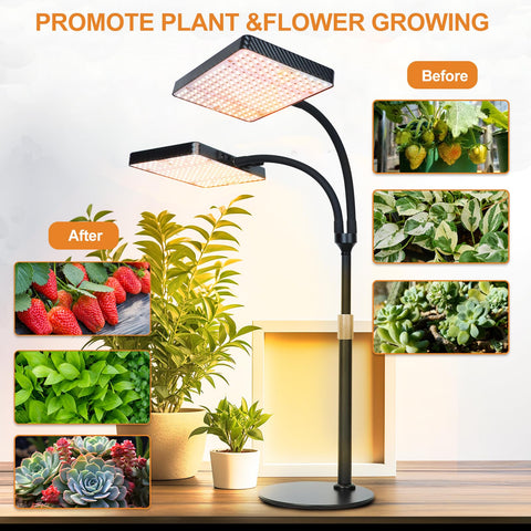 FECiDA 2026 wide coverage illuminates a small indoor garden.