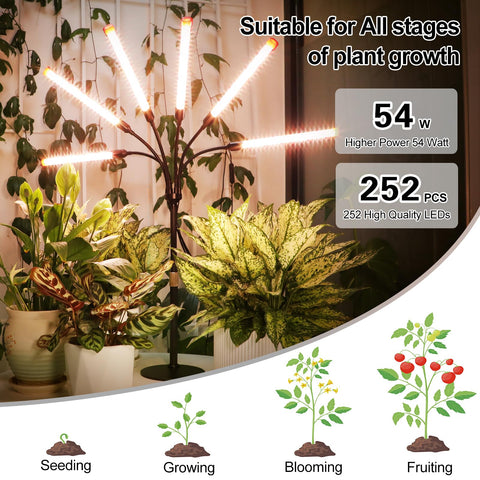 FECiDA 2026 six-head height adjustment allows precise light positioning.