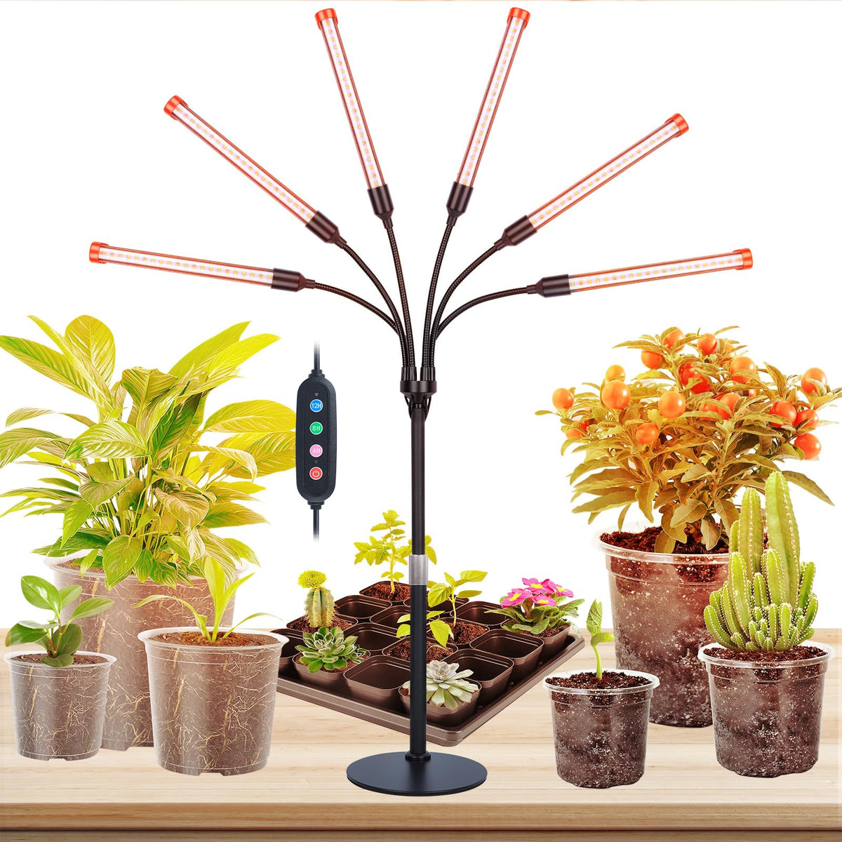 FECiDA 2026 six-head table top grow light on desk supports seed starting and healthy growth.
