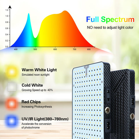 FECiDA 2026 no adapter needed simplifies setup