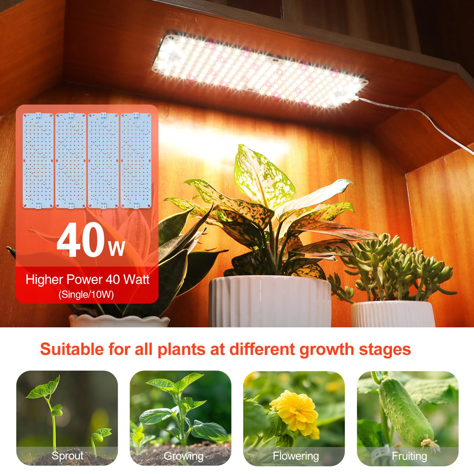 FECiDA panel lights in kitchen herbs for steady growth.
