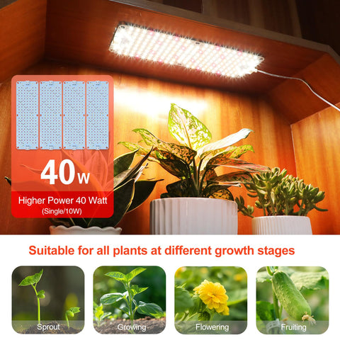 FECiDA panel lights in kitchen herbs for steady growth.