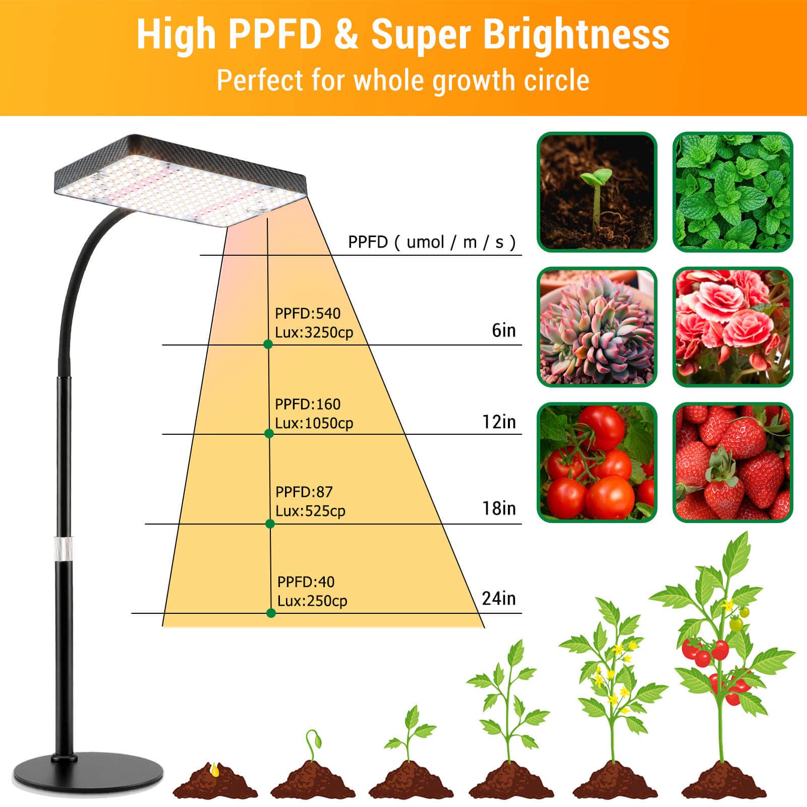 FECiDA desk grow light stable base on any desk