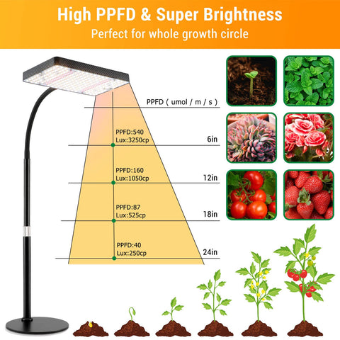FECiDA desk grow light stable base on any desk