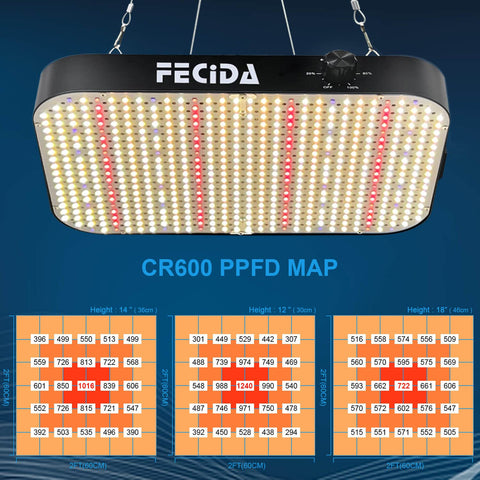 FECiDA full-spectrum diodes provide natural sunlight-like coverage for all stages.