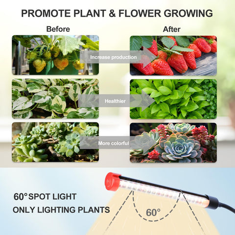 FECiDA ideal for indoor tall plants and bonsai trees