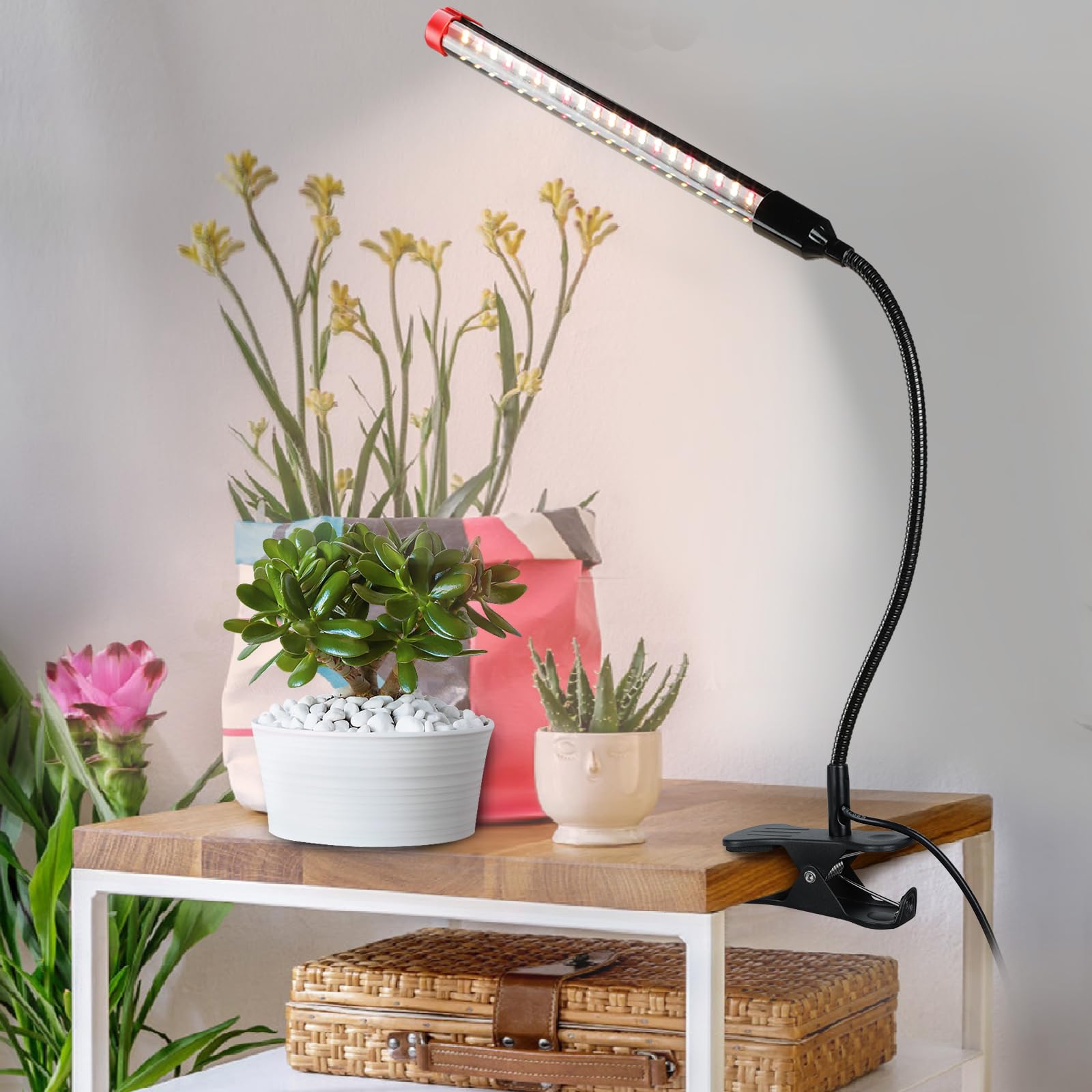 FECiDA indoor grow light illuminating a bonsai and herbs.