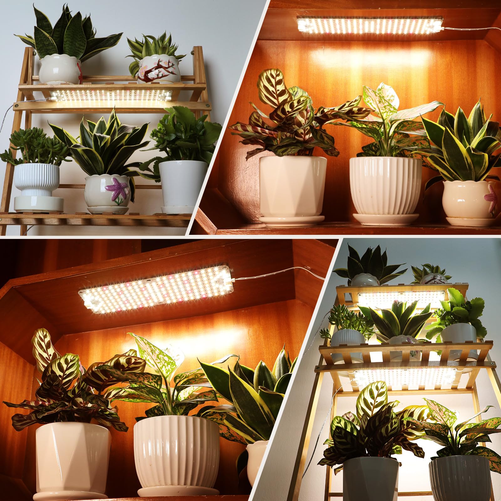 FECiDA timer-enabled panel powers automatic daily lighting