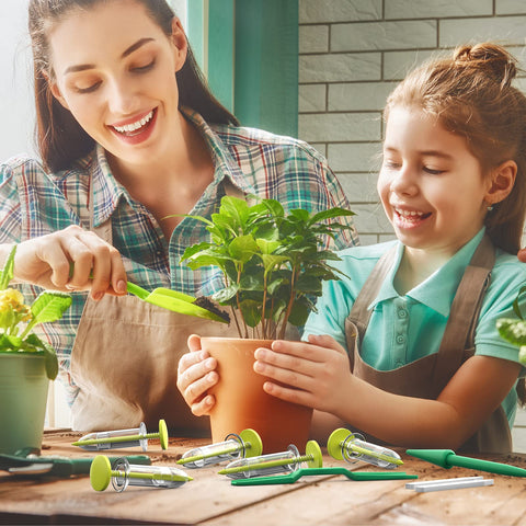 Fecsam seed planter supports cactus and small plant transplants with care.