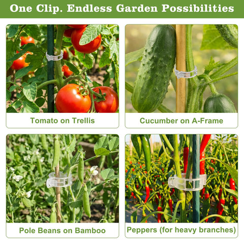 FEED GARDEN 120Pcs plant clips with durable hinge withstands weather.