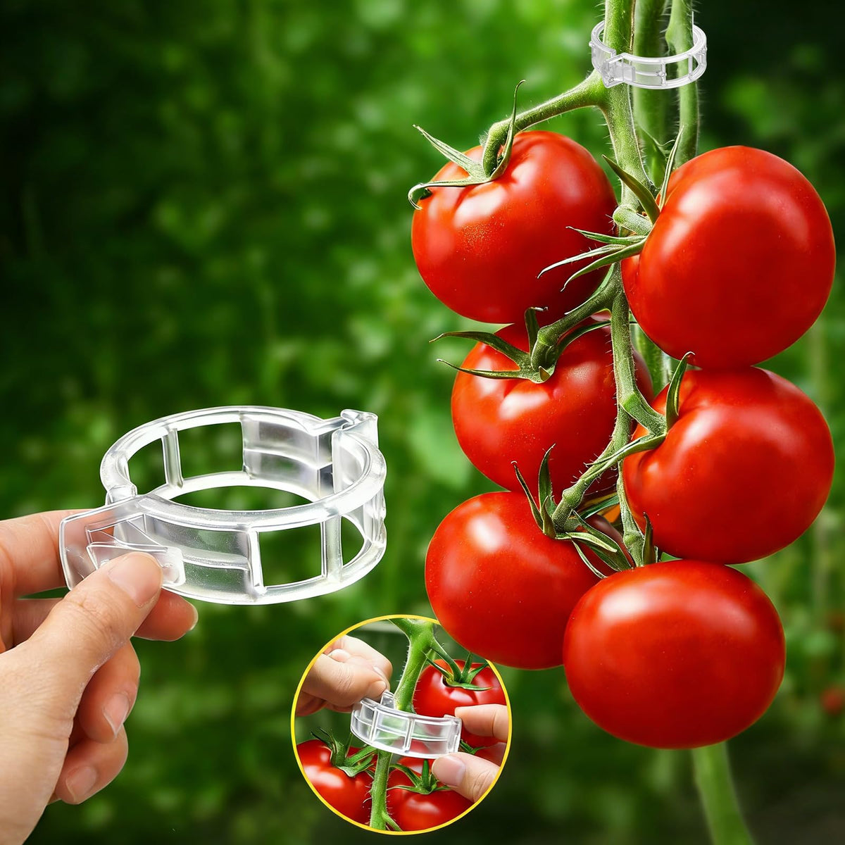 FEED GARDEN 120Pcs plant clips for tomatoes provide secure support and quick setup.