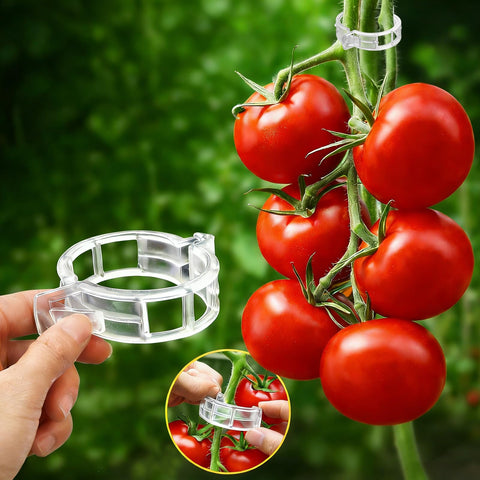 FEED GARDEN 120Pcs plant clips for tomatoes provide secure support and quick setup.