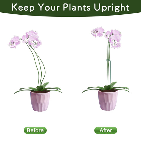 FEED GARDEN gladiolus stake helps tall florets hold position during bloom.