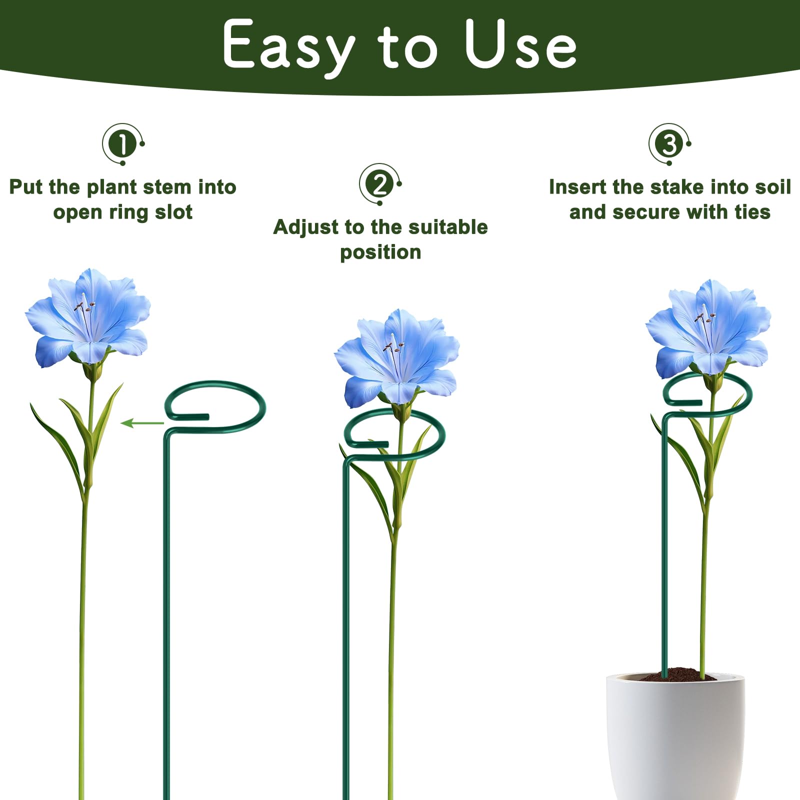 FEED GARDEN lily stake stabilizes single stems for straight growth.