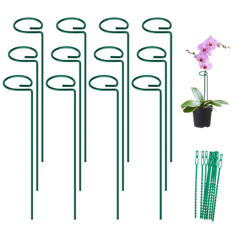 FEED GARDEN 16-inch stake supports a rose stem for upright growth.
