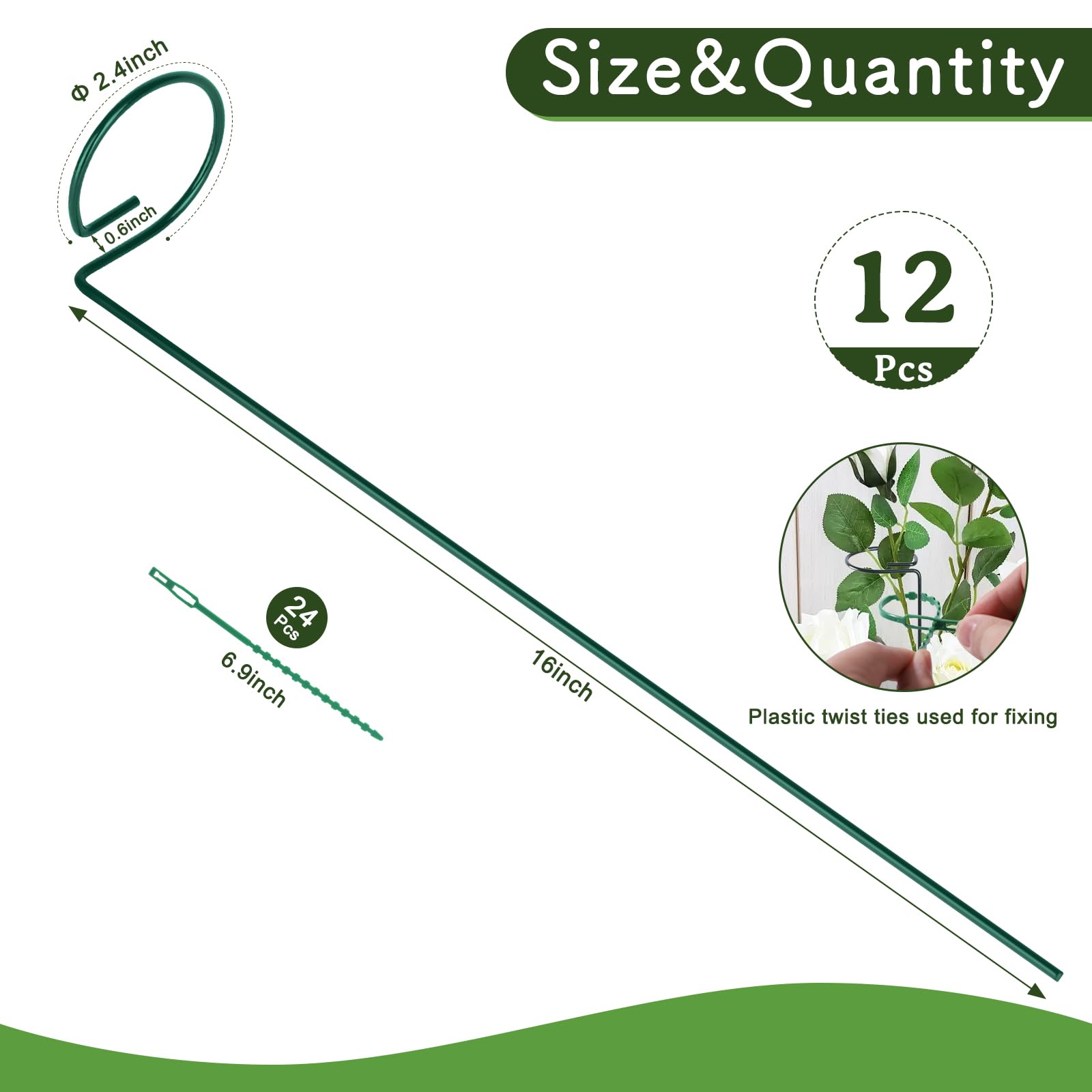 FEED GARDEN 16-inch stake supports tomato seedlings for even sun exposure.