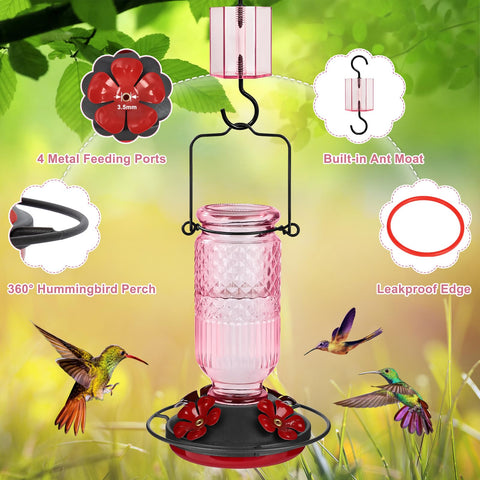 FEED GARDEN 360° perches supporting multiple hummingbirds