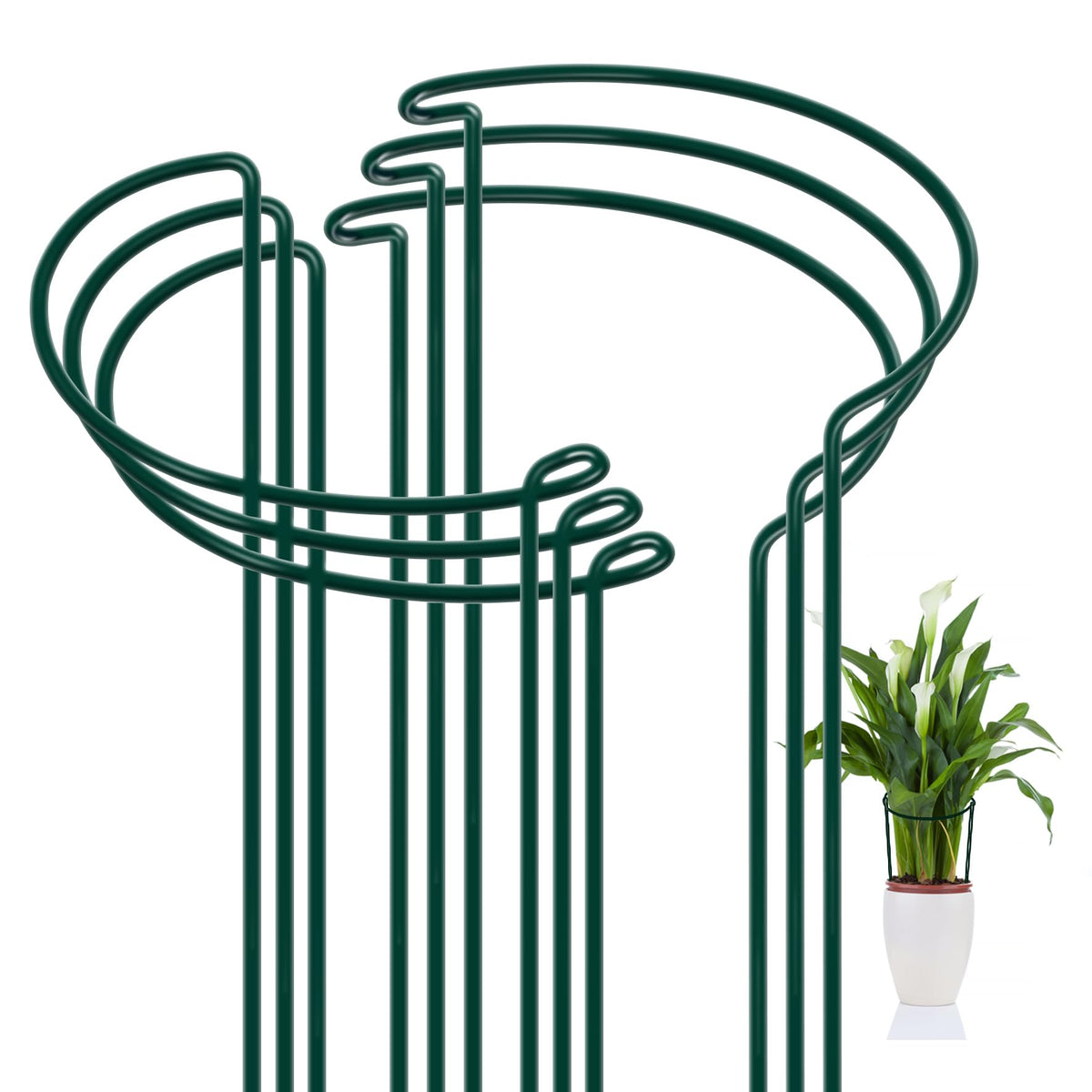 FEED GARDEN 6-pack plant stakes provide strong upright support for garden beds