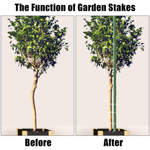 FEED GARDEN easy installation lets you plant quickly with minimal tools