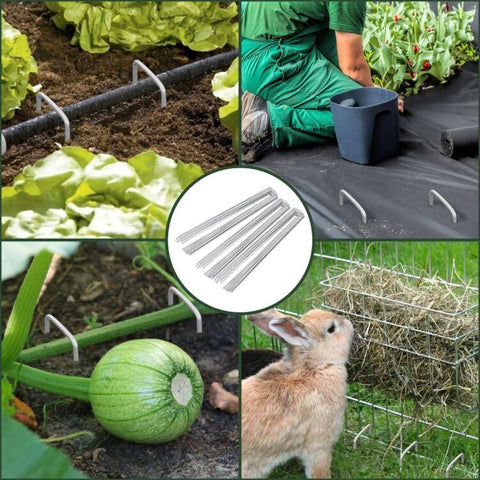 FEED GARDEN yard stakes help fence in pets and organize beds.