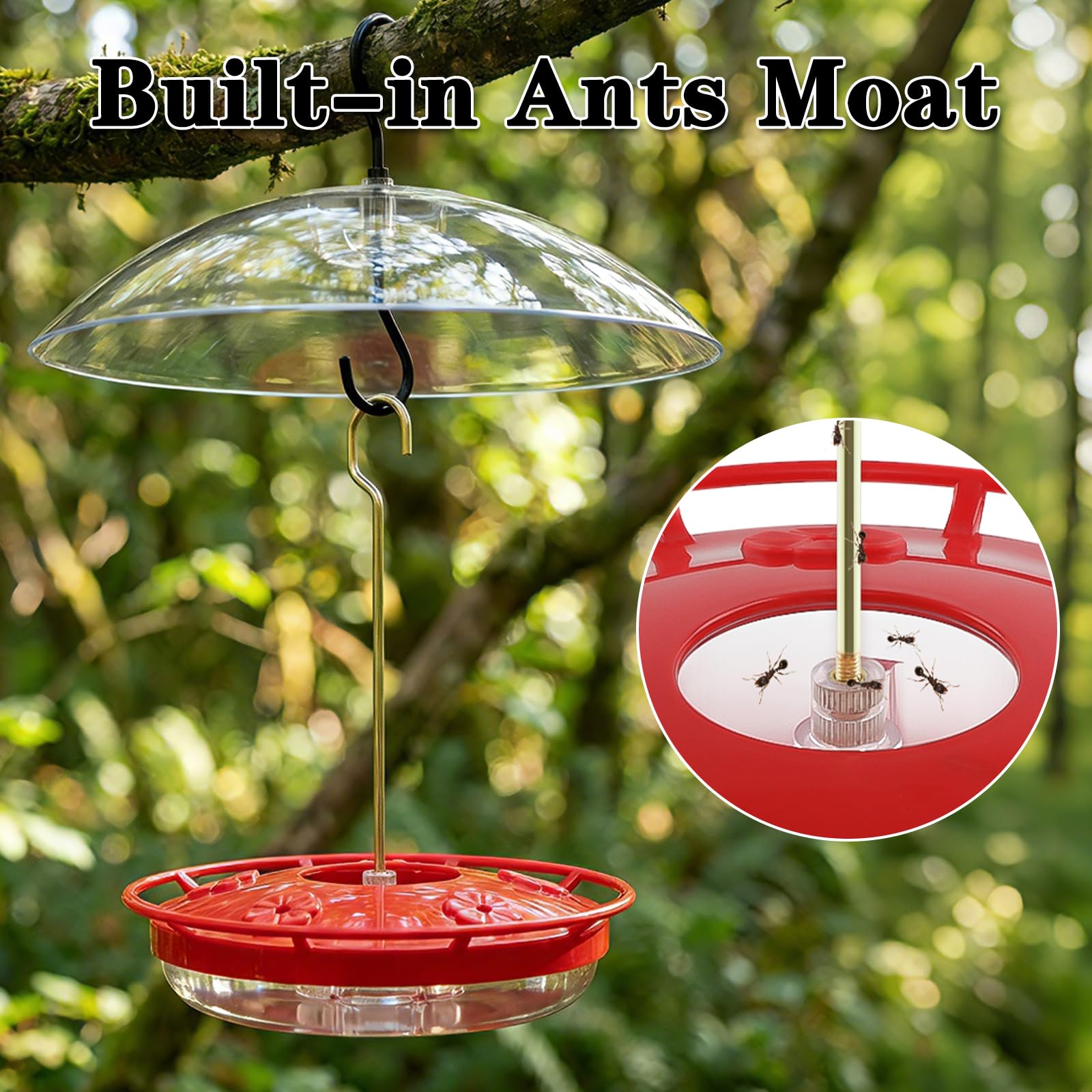 FEED GARDEN feeder with ant moat protecting nectar from garden pests