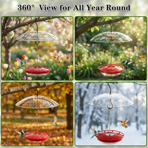 FEED GARDEN hummingbird feeder on garden patio enhances backyard décor