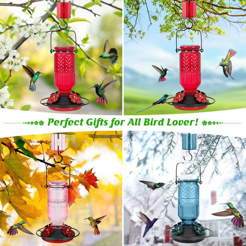 FEED GARDEN Leak-proof glass hummingbird feeder keeps nectar secure