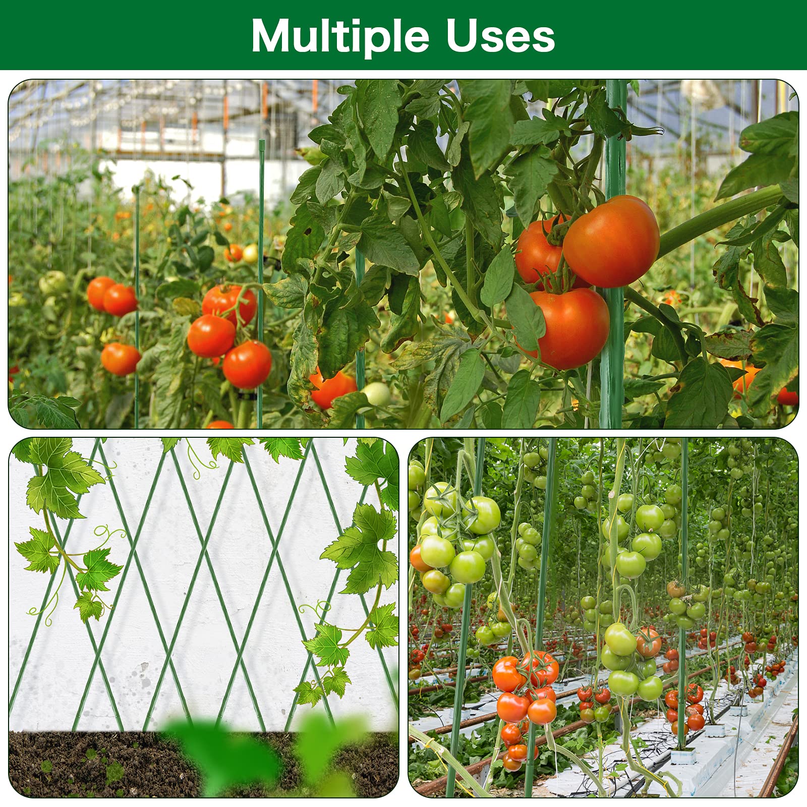 FEED GARDEN versatile stake supporting tomatoes, eggplants, and cucumbers