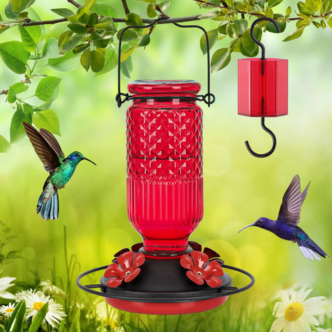 FEED GARDEN red hummingbird feeder adds color and attracts visitors
