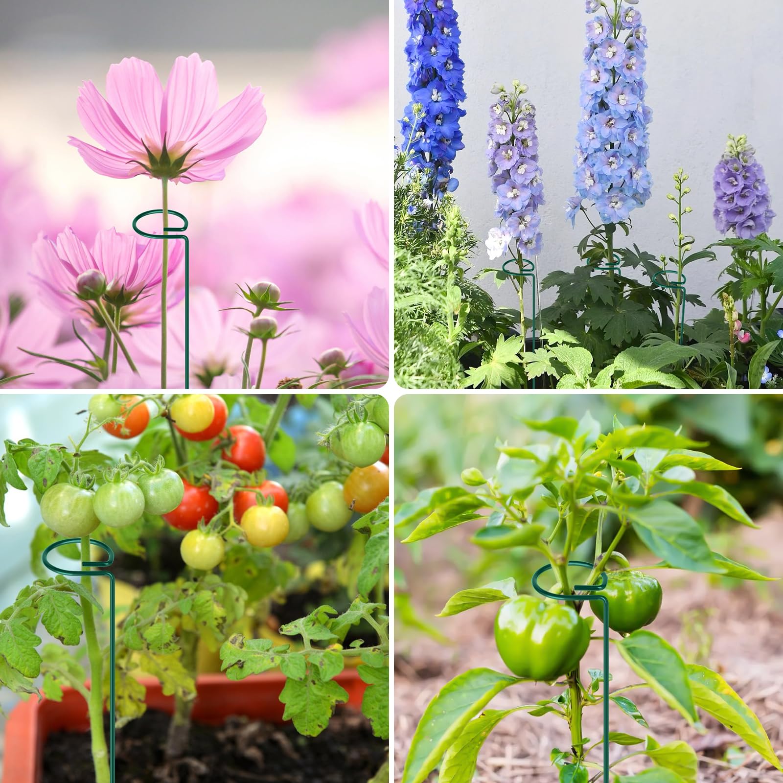 FEED GARDEN stake kit with twist ties offers secure plant support.